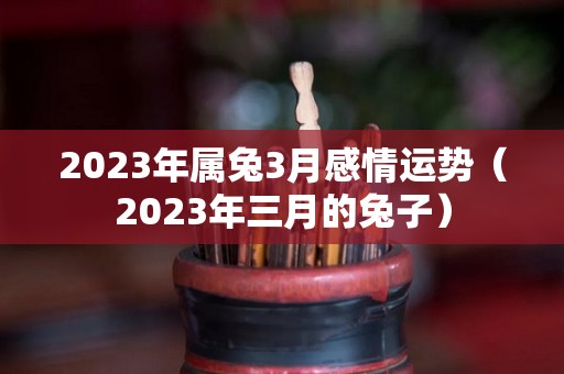 2023年属兔3月感情运势（2023年三月的兔子）