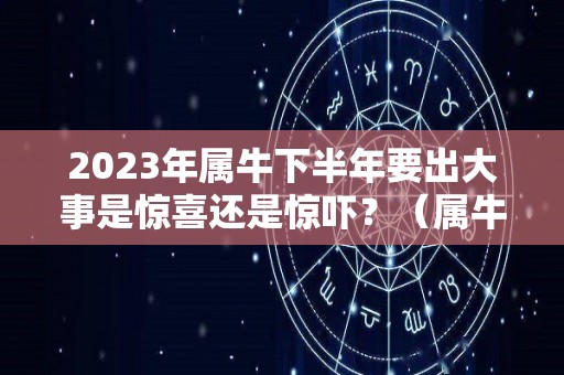 2023年属牛下半年要出大事是惊喜还是惊吓？（属牛 2023）
