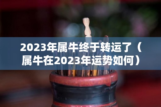 2023年属牛终于转运了（属牛在2023年运势如何）