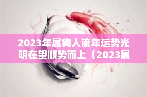 2023年属狗人流年运势光明在望顺势而上（2023属狗人全年运势如何）