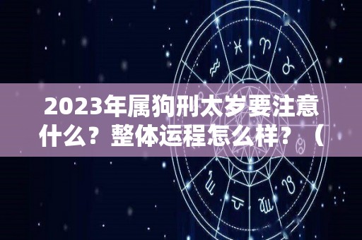 2023年属狗刑太岁要注意什么？整体运程怎么样？（2023年属狗的犯太岁吗）