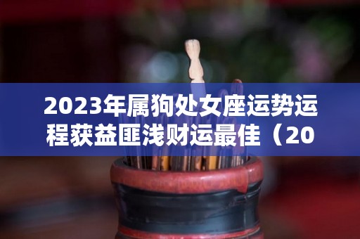 2023年属狗处女座运势运程获益匪浅财运最佳（2021年属狗处女座运势）