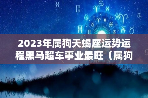 2023年属狗天蝎座运势运程黑马超车事业最旺（属狗的天蝎座2022）