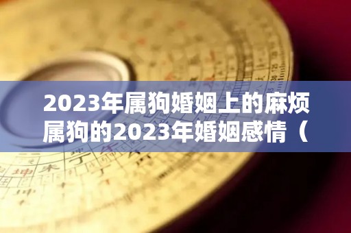 2023年属狗婚姻上的麻烦属狗的2023年婚姻感情（属狗2023年感情运势）