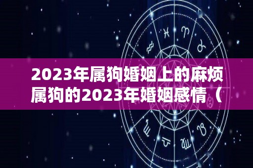 2023年属狗婚姻上的麻烦属狗的2023年婚姻感情（狗2023年婚姻有变动吗）