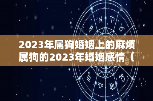 2023年属狗婚姻上的麻烦属狗的2023年婚姻感情（2023年属狗人的全年运势如何）