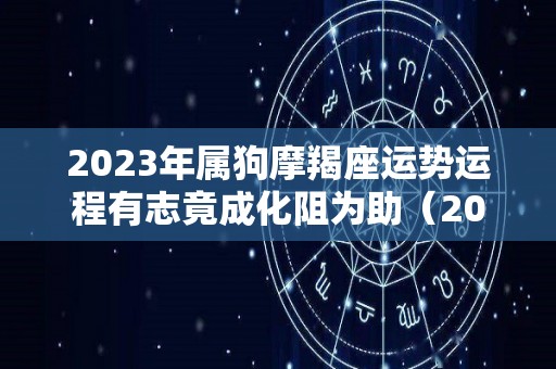 2023年属狗摩羯座运势运程有志竟成化阻为助（2022年属狗摩羯座运势）