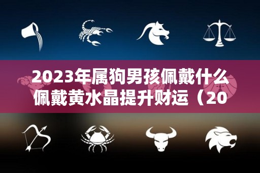 2023年属狗男孩佩戴什么佩戴黄水晶提升财运（2021年属狗男人佩戴什么最好）