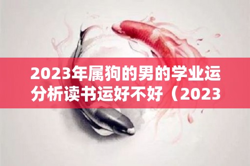 2023年属狗的男的学业运分析读书运好不好（2023年属狗男财运如何）