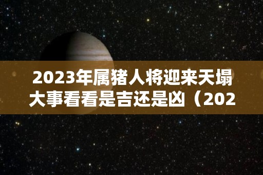 2023年属猪人将迎来天塌大事看看是吉还是凶（2023年属猪百年难遇）