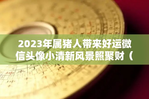 2023年属猪人带来好运微信头像小清新风景照聚财（2023年属猪人的运气）