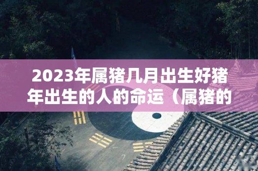 2023年属猪几月出生好猪年出生的人的命运（属猪的人2023年适合生孩子吗）