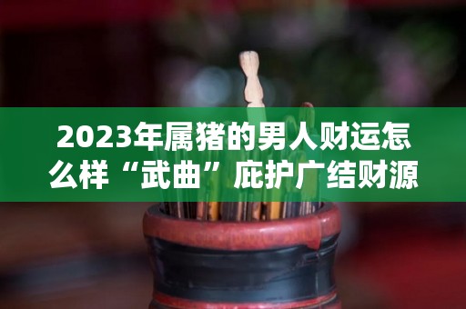 2023年属猪的男人财运怎么样“武曲”庇护广结财源（2023年属猪人的全年感情运势）