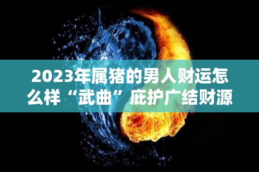 2023年属猪的男人财运怎么样“武曲”庇护广结财源（2023年属猪人的全年运势如何）