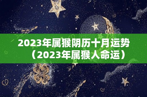 2023年属猴阴历十月运势（2023年属猴人命运）