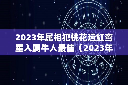 2023年属相犯桃花运红鸾星入属牛人最佳（2023年红鸾星动的生肖）