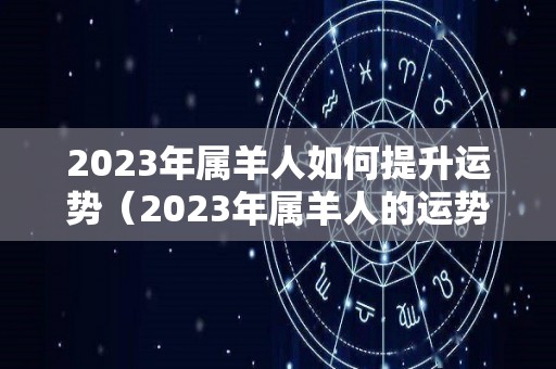 2023年属羊人如何提升运势（2023年属羊人的运势和财运）