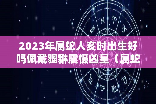 2023年属蛇人亥时出生好吗佩戴貔貅震慑凶星（属蛇亥时生好不好）