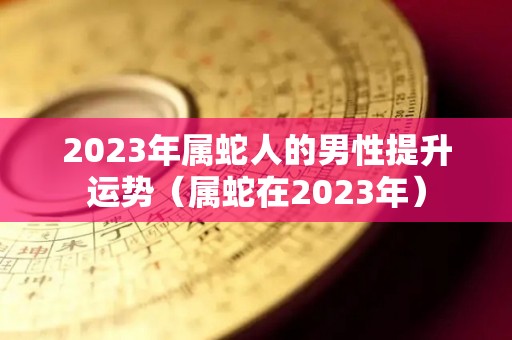 2023年属蛇人的男性提升运势（属蛇在2023年）