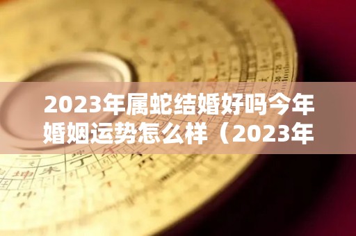 2023年属蛇结婚好吗今年婚姻运势怎么样（2023年属蛇感情运势）