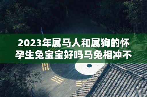 2023年属马人和属狗的怀孕生兔宝宝好吗马兔相冲不利家庭真的吗（属马属狗夫妻生个兔宝宝好吗）