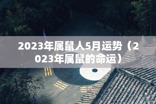 2023年属鼠人5月运势（2023年属鼠的命运）