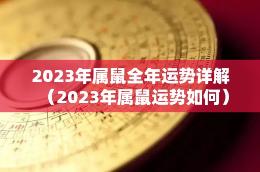 2023年属鼠全年运势详解（2023年属鼠运势如何）