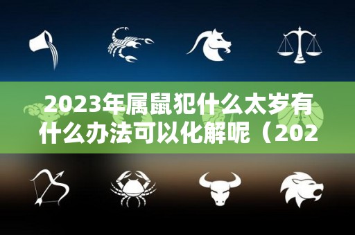 2023年属鼠犯什么太岁有什么办法可以化解呢（2023年属鼠人的全年每月）