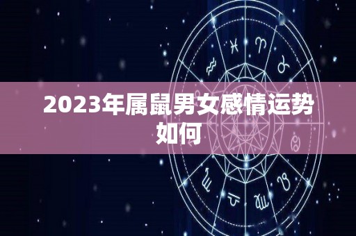 2023年属鼠男女感情运势如何