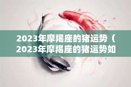 2023年摩羯座的猪运势（2023年摩羯座的猪运势如何）