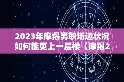 2023年摩羯男职场运状况如何能更上一层楼（摩羯2023年运势如何）