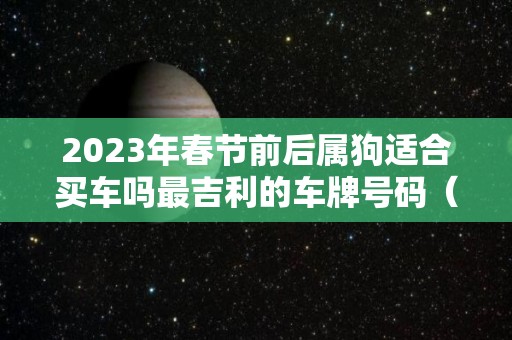 2023年春节前后属狗适合买车吗最吉利的车牌号码（属狗今年买车好吗）