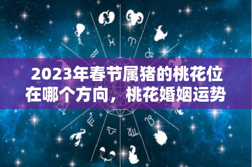 2023年春节属猪的桃花位在哪个方向，桃花婚姻运势（2021年属猪的桃花运怎么样）