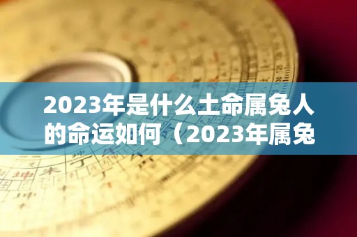 2023年是什么土命属兔人的命运如何（2023年属兔是金命还是土命）