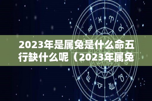 2023年是属兔是什么命五行缺什么呢（2023年属兔是什么命格）