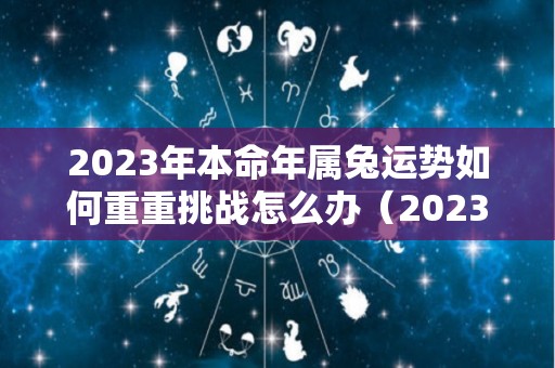 2023年本命年属兔运势如何重重挑战怎么办（2023年属兔本命年命运如何）