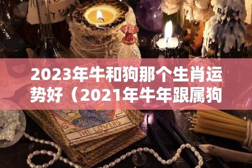 2023年牛和狗那个生肖运势好（2021年牛年跟属狗好么）