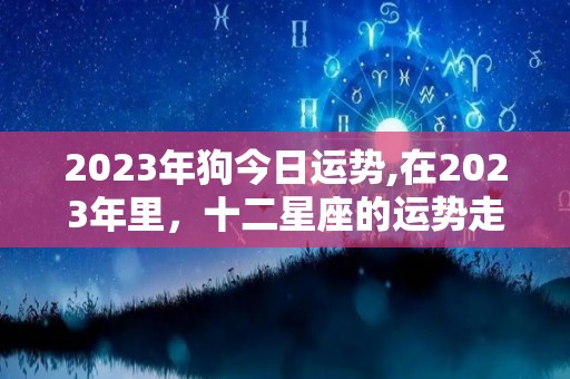 2023年狗今日运势,在2023年里，十二星座的运势走向如何