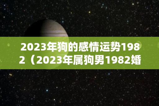 2023年狗的感情运势1982（2023年属狗男1982婚姻）