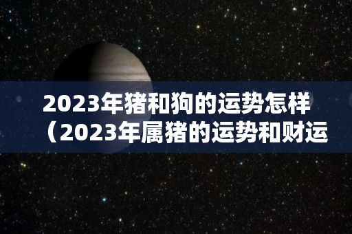 2023年猪和狗的运势怎样（2023年属猪的运势和财运）