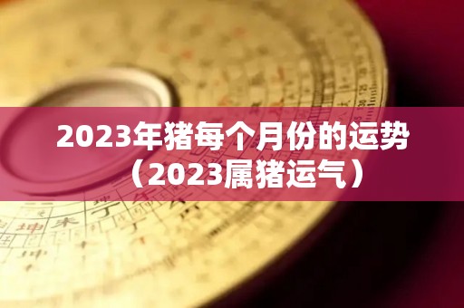 2023年猪每个月份的运势（2023属猪运气）