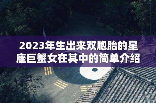2023年生出来双胞胎的星座巨蟹女在其中的简单介绍