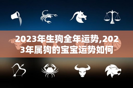2023年生狗全年运势,2023年属狗的宝宝运势如何
