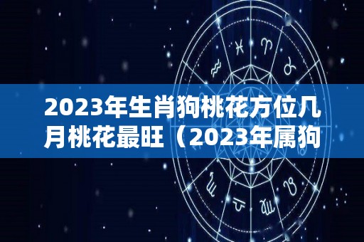 2023年生肖狗桃花方位几月桃花最旺（2023年属狗人的命运）