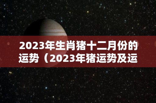 2023年生肖猪十二月份的运势（2023年猪运势及运程每月运程）