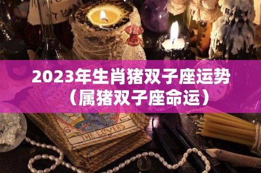 2023年生肖猪双子座运势（属猪双子座命运）