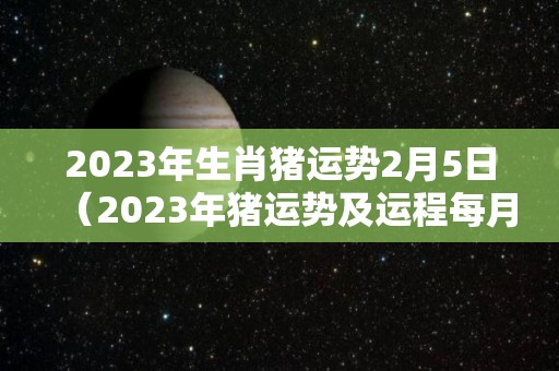 2023年生肖猪运势2月5日（2023年猪运势及运程每月运程）