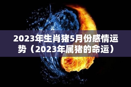 2023年生肖猪5月份感情运势（2023年属猪的命运）