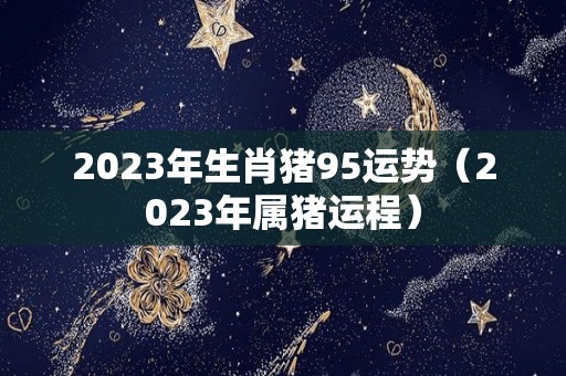 2023年生肖猪95运势（2023年属猪运程）