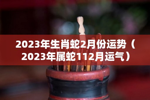 2023年生肖蛇2月份运势（2023年属蛇112月运气）